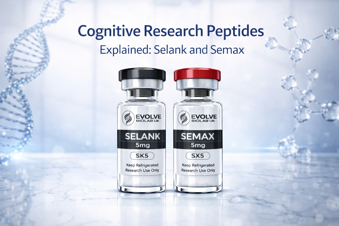 Cognitive research peptides article image showing Selank 5mg and Semax 5mg vials on a clean biotech background