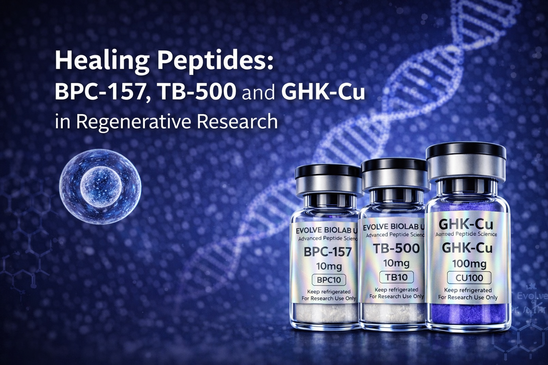 Healing Peptides Explained: BPC-157, TB-500 and GHK-Cu in Regenerative Research