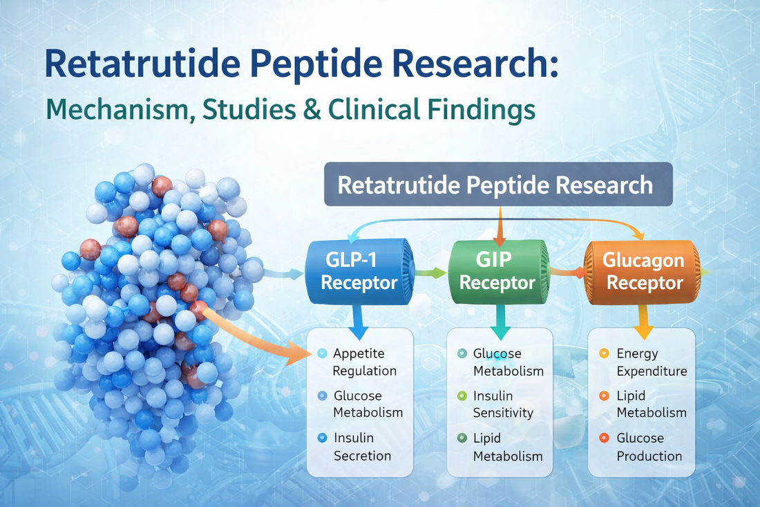 Retatrutide Peptide Research: Mechanism, Clinical Studies & Metabolic Effects